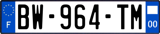 BW-964-TM