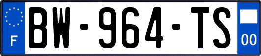 BW-964-TS