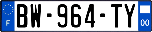 BW-964-TY