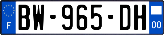 BW-965-DH