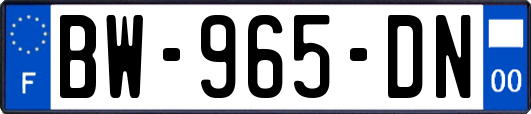 BW-965-DN