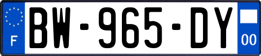 BW-965-DY