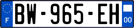 BW-965-EH