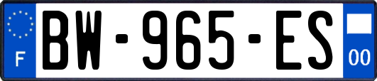 BW-965-ES