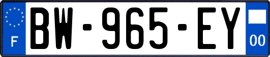 BW-965-EY