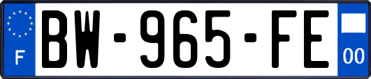 BW-965-FE