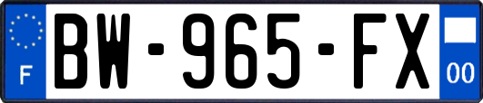 BW-965-FX