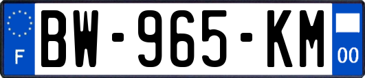 BW-965-KM