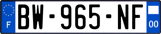 BW-965-NF