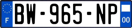 BW-965-NP