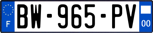 BW-965-PV