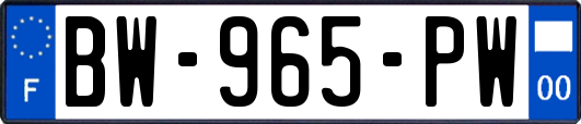 BW-965-PW