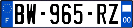 BW-965-RZ