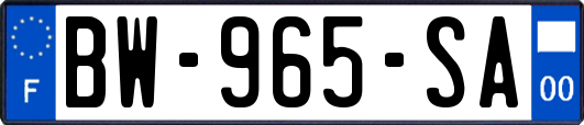 BW-965-SA