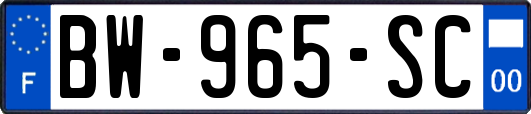 BW-965-SC