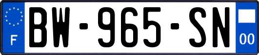 BW-965-SN