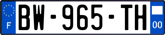 BW-965-TH