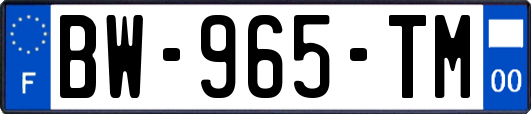 BW-965-TM