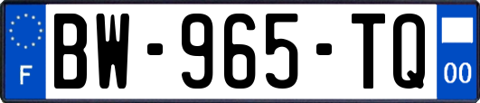 BW-965-TQ