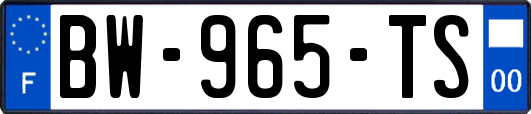 BW-965-TS