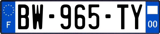 BW-965-TY