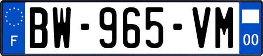 BW-965-VM