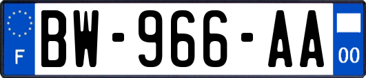 BW-966-AA