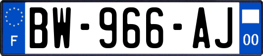 BW-966-AJ