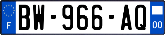 BW-966-AQ