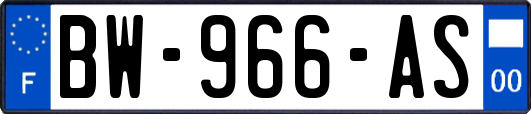 BW-966-AS