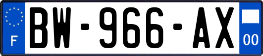 BW-966-AX