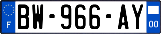 BW-966-AY