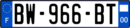 BW-966-BT