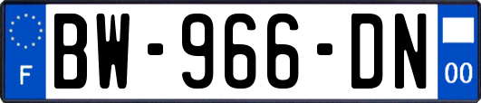 BW-966-DN