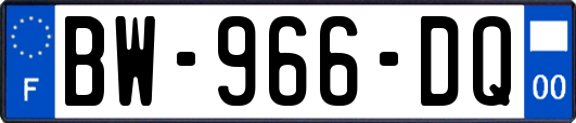 BW-966-DQ