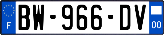 BW-966-DV