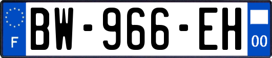 BW-966-EH