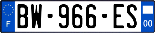 BW-966-ES