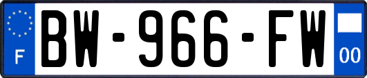 BW-966-FW