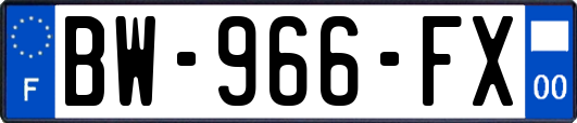 BW-966-FX