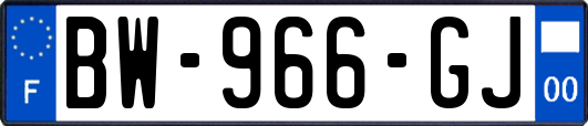 BW-966-GJ