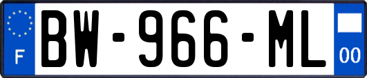 BW-966-ML