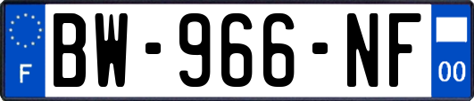 BW-966-NF
