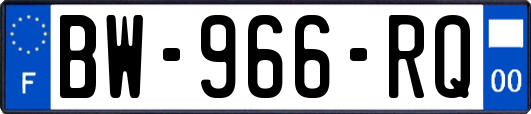 BW-966-RQ