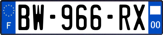 BW-966-RX