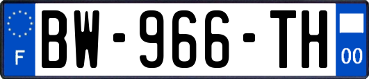 BW-966-TH