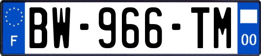 BW-966-TM