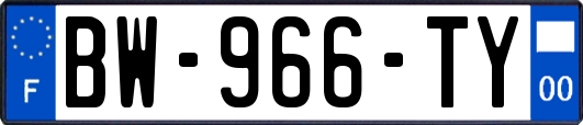 BW-966-TY