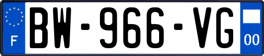 BW-966-VG