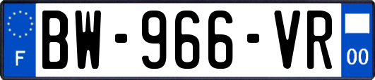 BW-966-VR